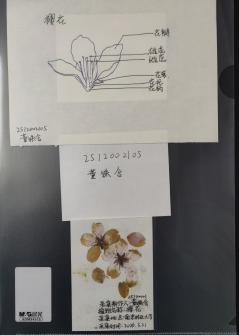 图片3_45544图片3